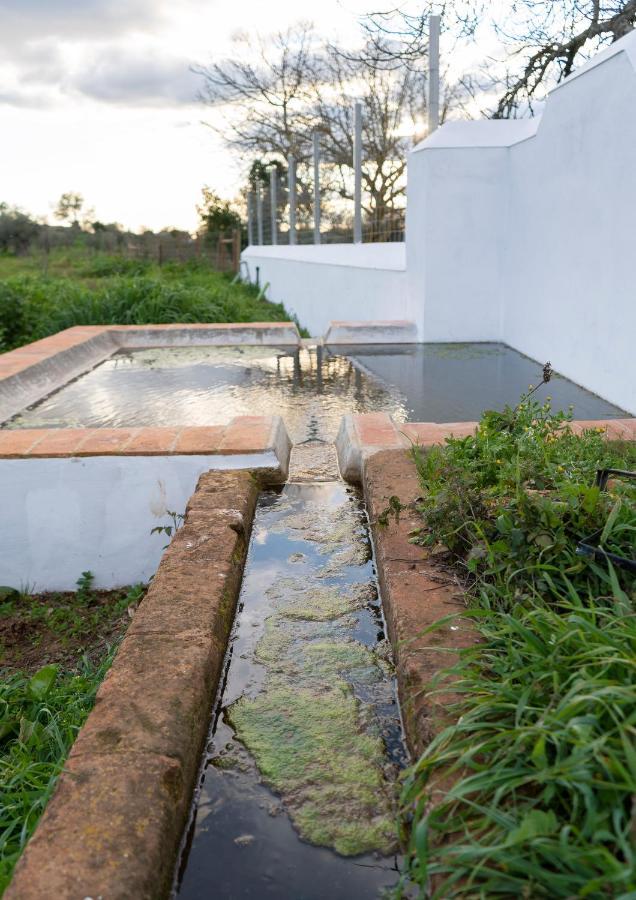 Herdade Da Maridona Em Estremoz - Turismo Rural Bed and Breakfast Gloria  Esterno foto